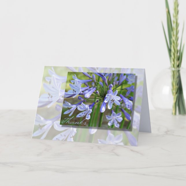 Elegant blå Agapanthus Tacksamhetskort för alla ti Tack Kort (Framsida)