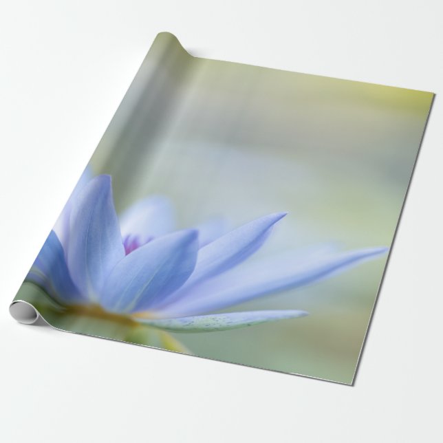 Elegant Blå Lotus Presentpapper (Utrullad)