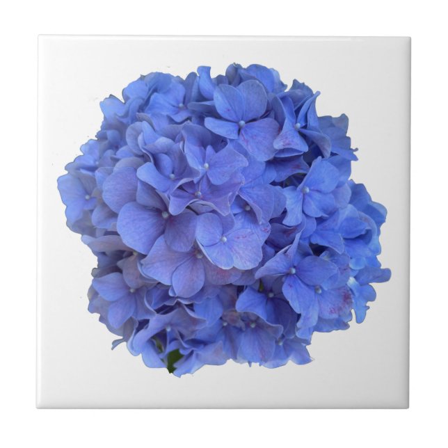 Elegant Blåblåvingade blommigtar Kakelplatta (Framsidan)