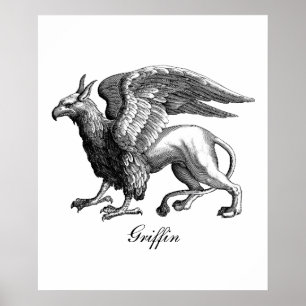 Elegant Black and White Griffin - Legendary Beast Poster