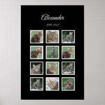 Elegant Black Pet Poster med 12 fotoplatser