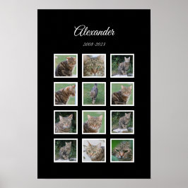 Elegant Black Pet Poster med 12 fotoplatser