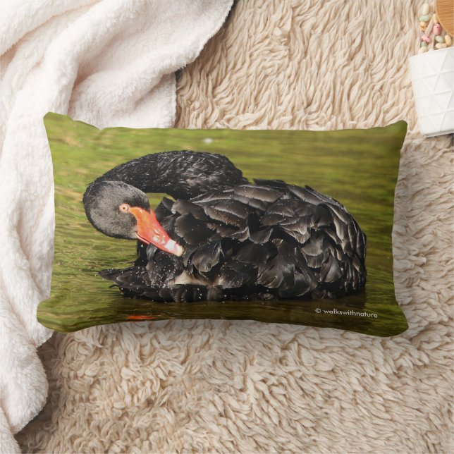 Elegant Black Svan Preening i dammen Lumbarkudde (Filt)