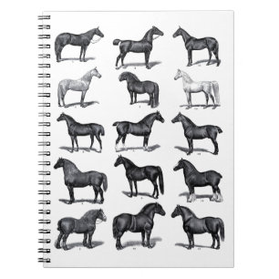 Elegant Black White Equestrian Vintage Horse Anteckningsbok
