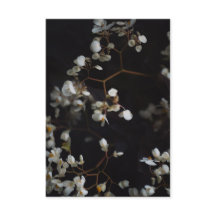 Elegant blomfoto och anpassat namn