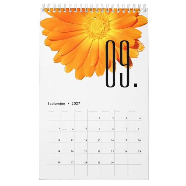 Elegant Blommig Färgrik Blommor Blomsterälskare 20 Kalender (Sep 2027)