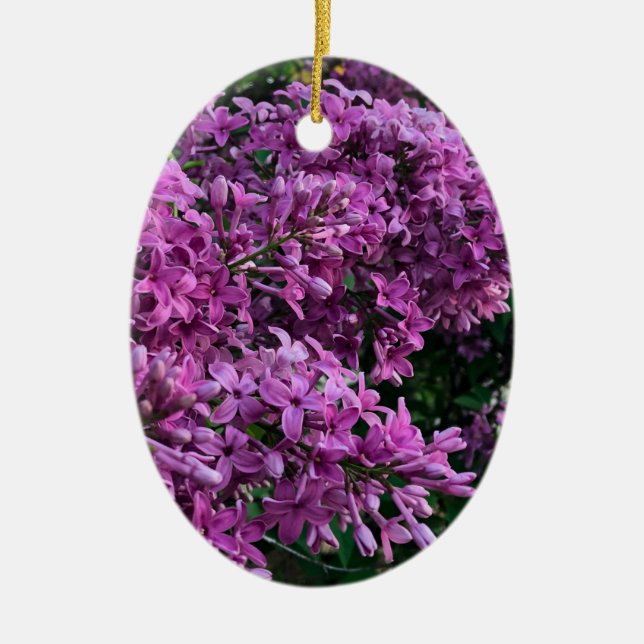 Elegant blommigt av djupa lila magenta: blommor, l julgransprydnad keramik (Framsidan)