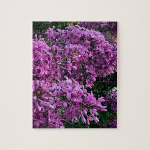 Elegant blommigt av djupa lila magenta: blommor, l pussel