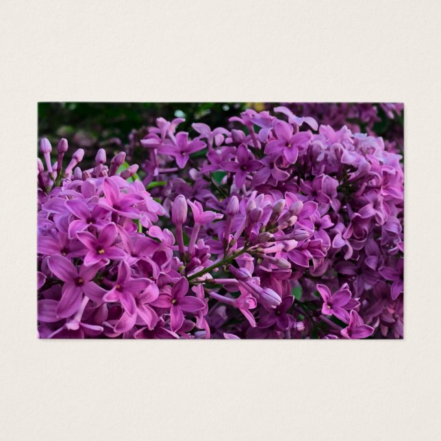 Elegant blommigt av djupa lila magenta: blommor, l visitkort (Framsida)