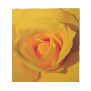Elegant blommigt-blomman Gul ros Anteckningsblock