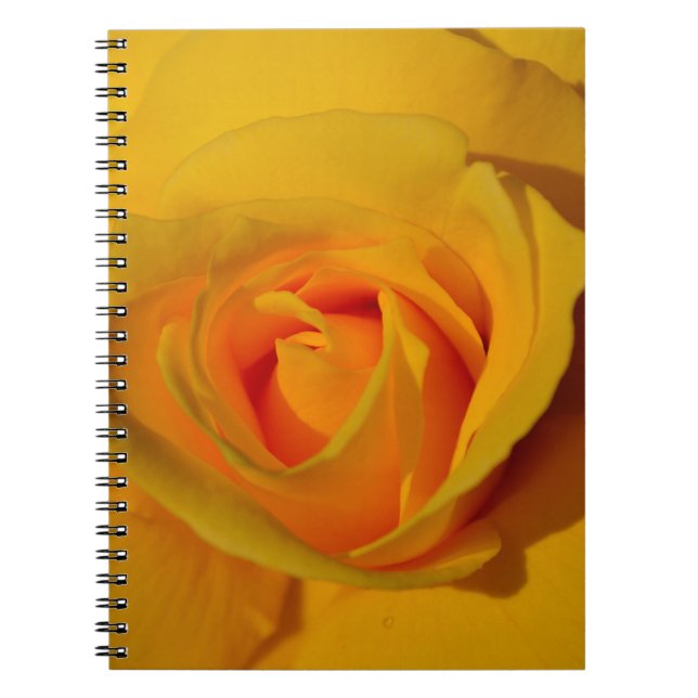 Elegant blommigt-blomman Gul ros Anteckningsbok (Framsidan)