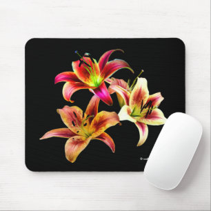 Elegant Blommigt Gult Rosa Daylilies Flowers Musmatta