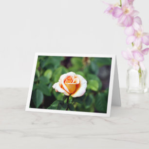 Elegant Blommigt Ro Kort