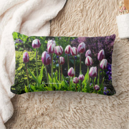 Elegant Blommigt Vit Lila Tulips Lumbarkudde