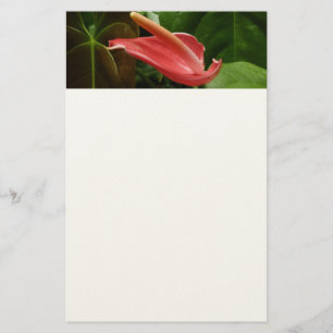 Elegant blomster Pink Calla Lily Brevpapper