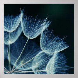 Elegant Blue Dandalion Botaniskt makro-Abstrakt Poster