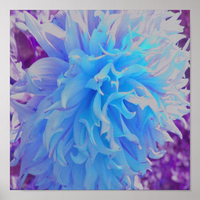Elegant Blue Decorative Dahlia Flower Poster (Framsidan)