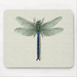 Elegant Blue Dragonfly Musmatta