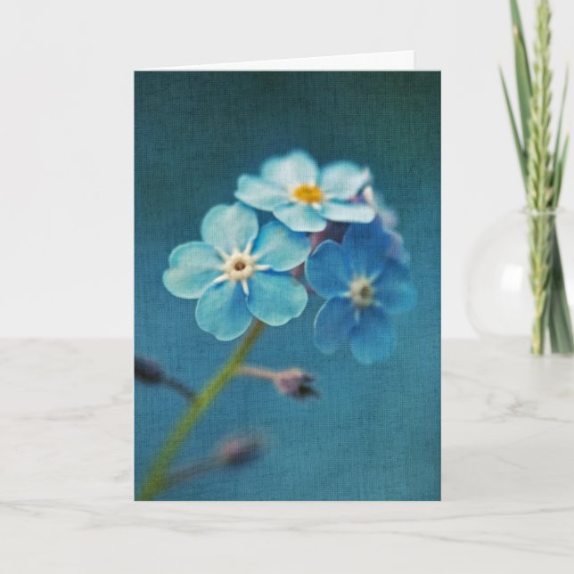Elegant Blue Glöme-me-nots Flowers Kort (Framsida)