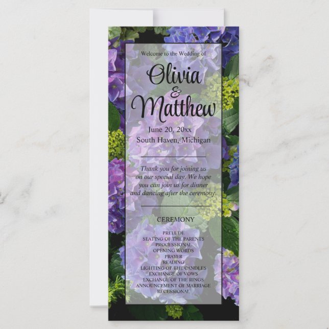 Elegant Blue lila magenta grönt blommigt hydrangea (Framsida)