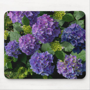 Elegant Blue lila magenta grönt blommigt hydrangea Musmatta