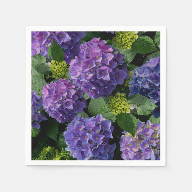 Elegant Blue lila magenta grönt blommigt hydrangea Pappersservett (Framsidan)