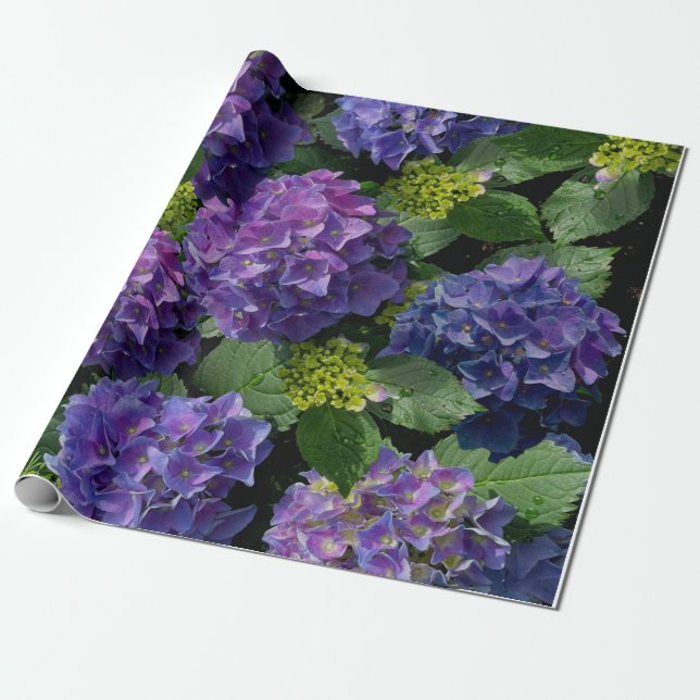 Elegant Blue lila magenta grönt blommigt hydrangea Presentpapper (Utrullad)