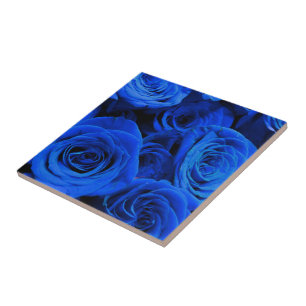 Elegant blue ro blåa blommor blue blommigt kakelplatta