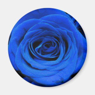 Elegant blue ro blåa blommor blue blommigt magnet