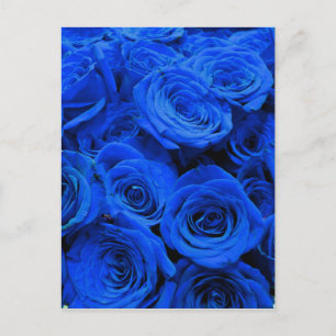 Elegant blue ro blåa blommor blue blommigt vykort