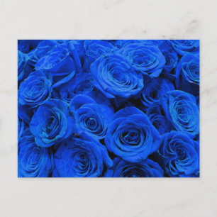 Elegant blue ro blåa blommor blue blommigt vykort