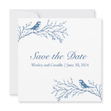 Elegant Bluejays på Gren