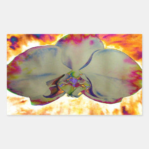 Elegant boho abstrakt vattenfärgsfärg orchid-målni rektangulärt klistermärke