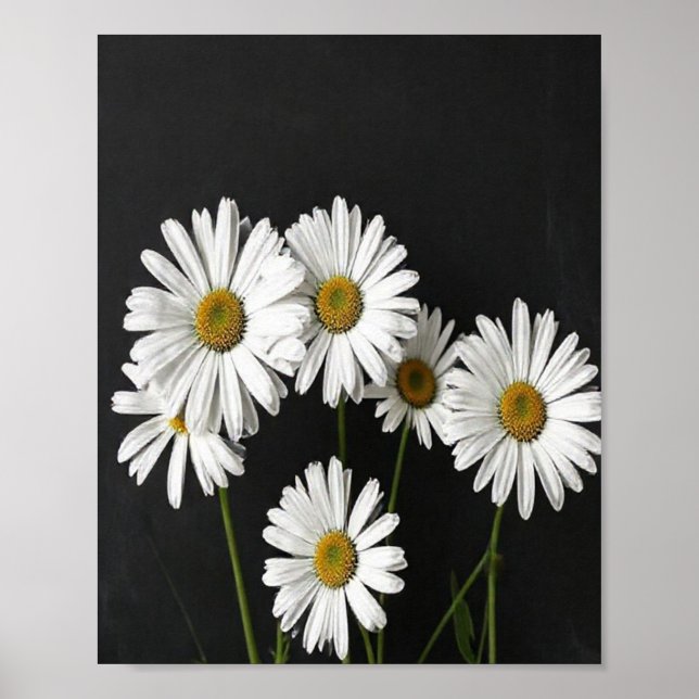 Elegant Botanical Still Life of Radiant White Oxey Poster (Framsidan)