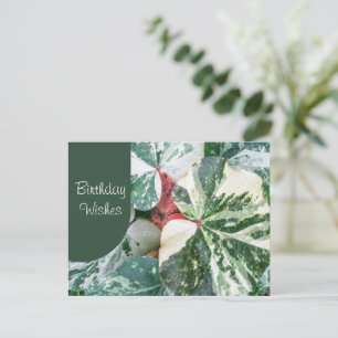 Elegant Botaniska födelsedag Önskemål Vykort