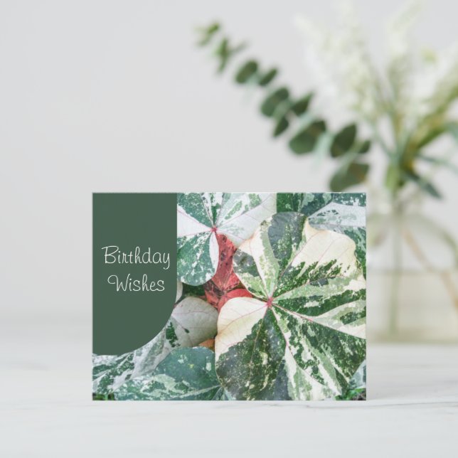 Elegant Botaniska födelsedag Önskemål Vykort (Stående Fram)
