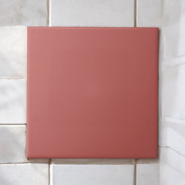 Elegant Brick Red Monochrome Minimalist Earth Tone Kakelplatta