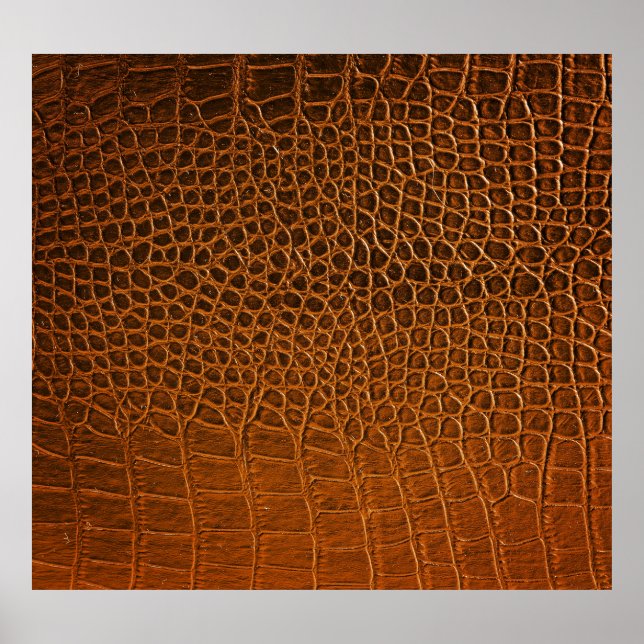 Elegant brunt krokodilläder struktur. poster (Framsidan)