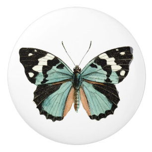Elegant Butterfly Teal White Ceramic Knob Knopp