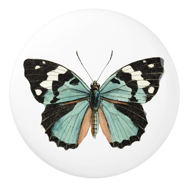 Elegant Butterfly Teal White Ceramic Knob Knopp (Framsidan)
