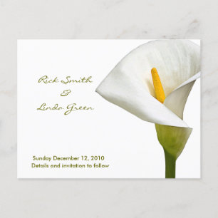 Elegant Cala Lily - Spara datum vit Meddelande Vykort