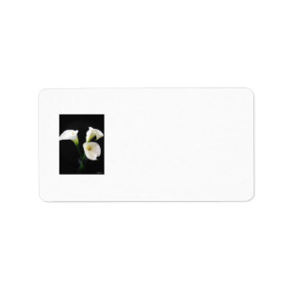 Elegant Calla Lily Flowers 12 Adressetikett