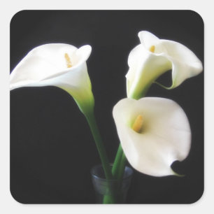 Elegant Calla Lily Flowers 12 Fyrkantigt Klistermärke