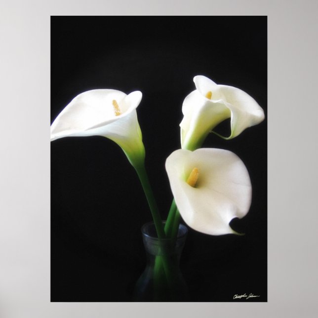 Elegant Calla Lily Flowers 12 Poster (Framsidan)