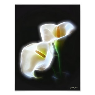 Elegant Calla Lily Flowers 13 Modern Print Fototryck