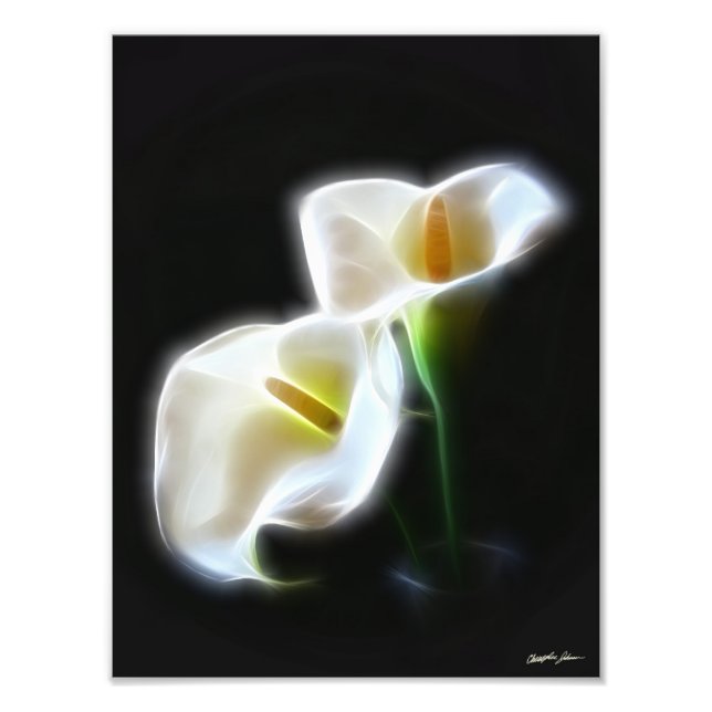 Elegant Calla Lily Flowers 13 Modern Print Fototryck (Framsidan)