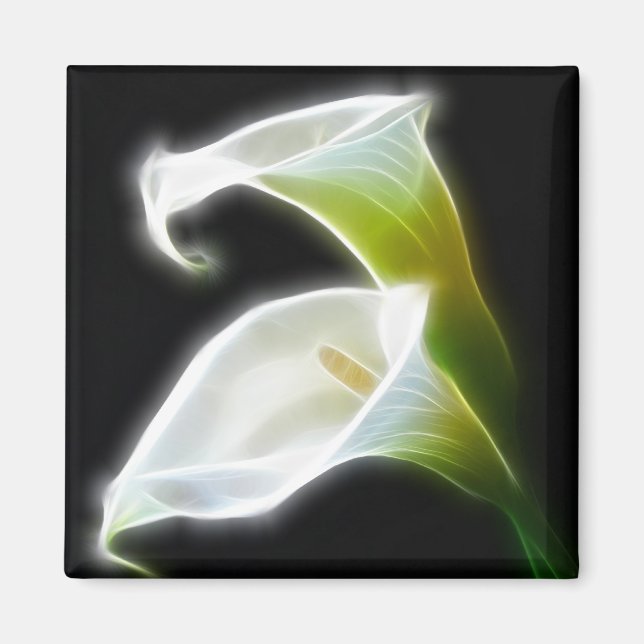 Elegant Calla Lily Flowers 8 Modern Magnet (Framsidan)