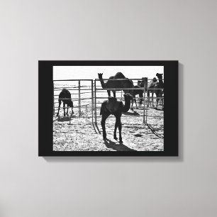 Elegant Camel Canvastryck