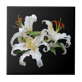 Elegant Casablanca White Oriental Lilies Kakelplatta