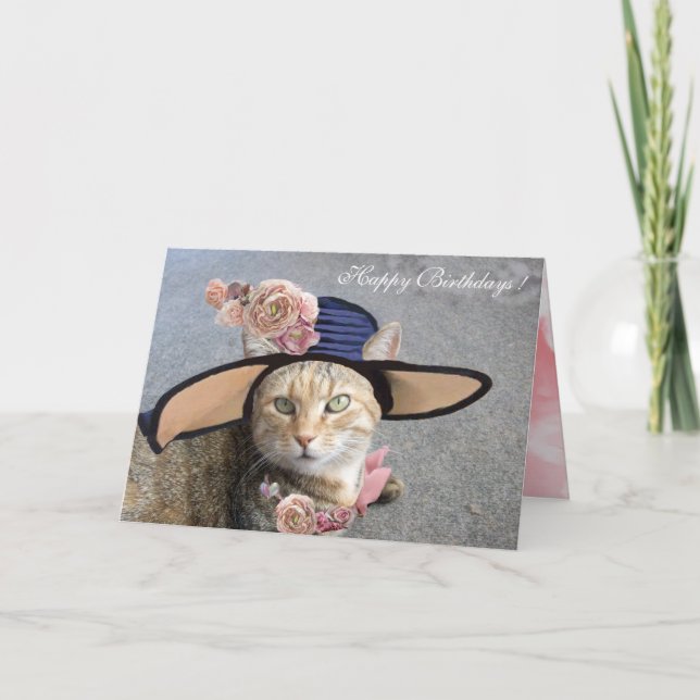 ELEGANT CAT MED DIVA HAT,ROSA ROS födelsedag Kort (Framsida)